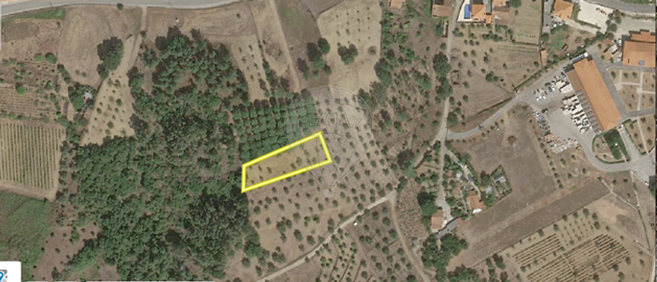 Terreno - Serra e Junceira, Tomar, Santarém