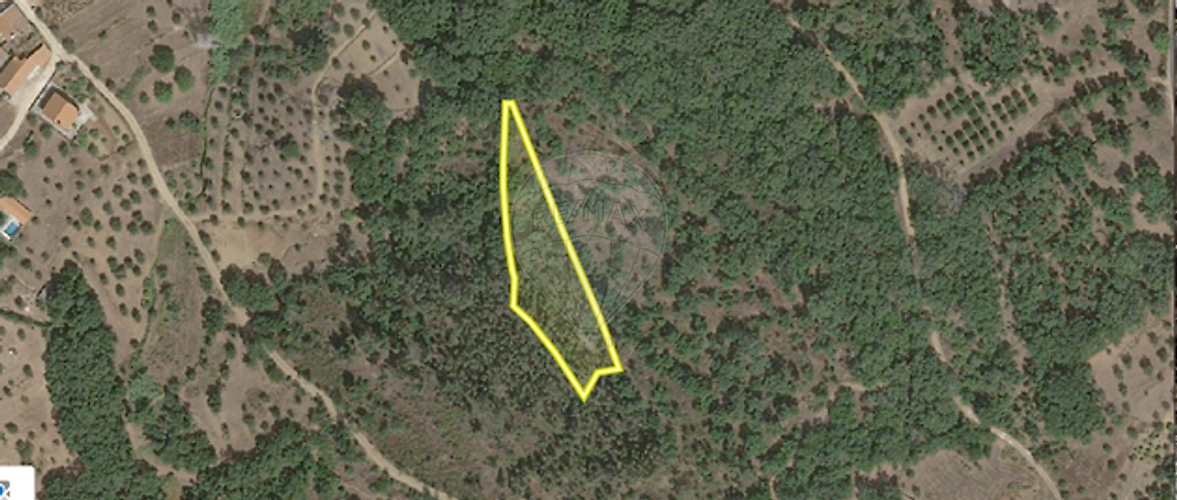 Terreno - Serra e Junceira, Tomar, Santarém