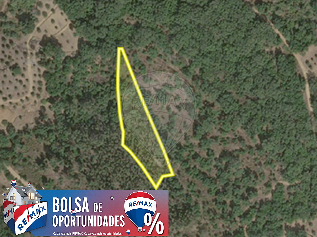 Terreno - Serra e Junceira, Tomar, Santarém