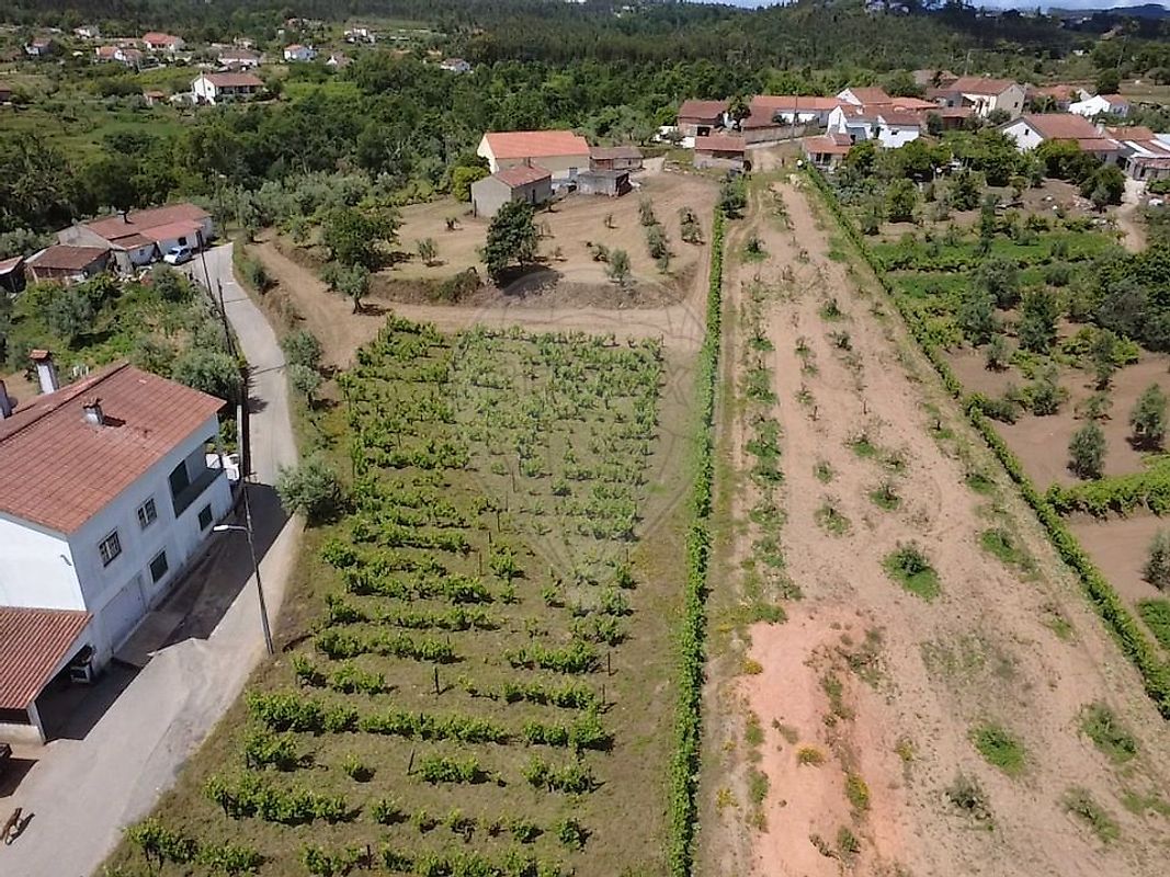 Moradia T2 à venda em Nossa Senhora do Pranto, Ferreira do Zêzere — foto 20