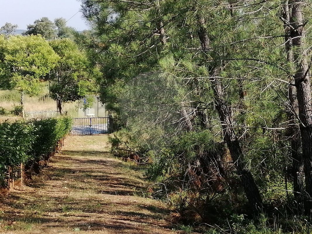Terreno - Serra e Junceira, Tomar, Santarém