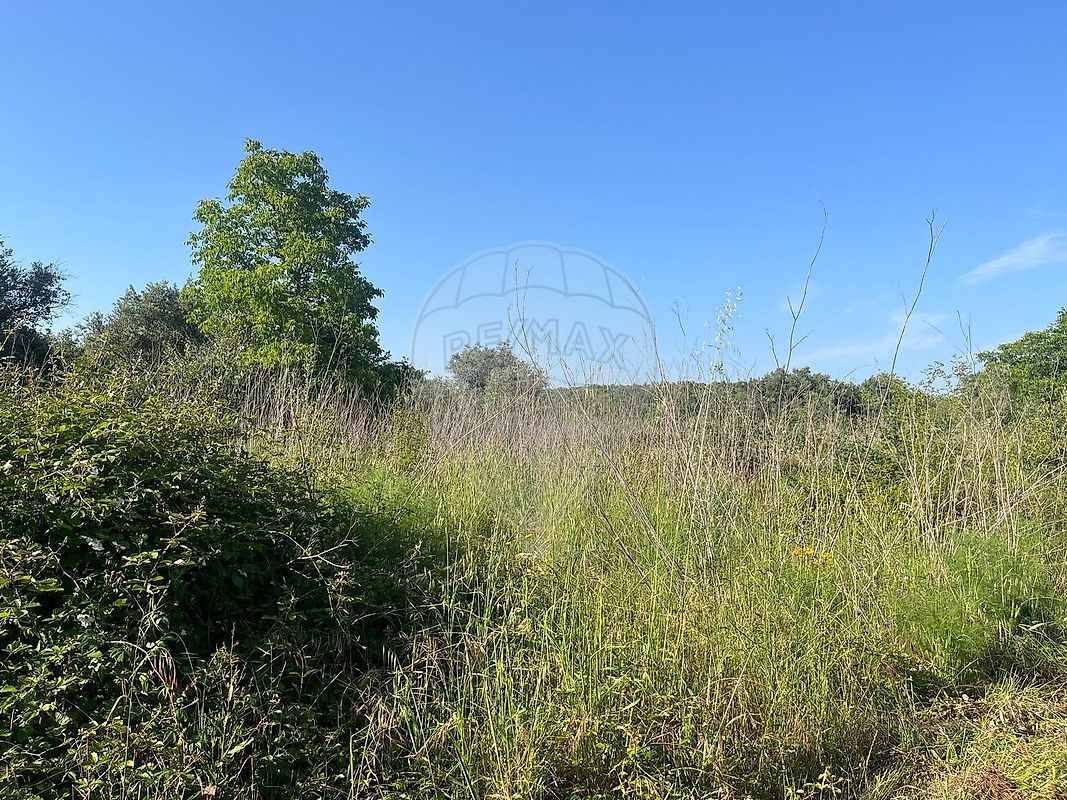 Terreno - Além da Ribeira e Pedreira, Tomar, Santarém