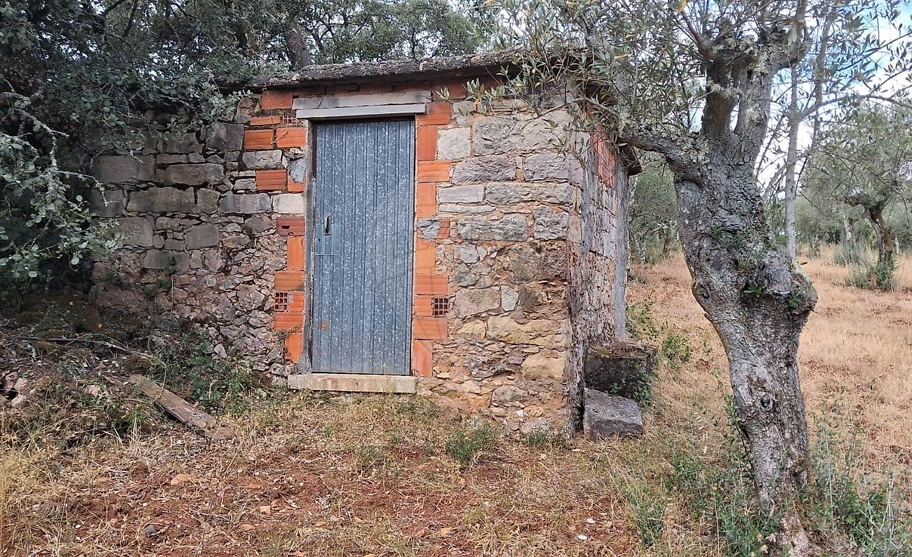 Terreno - Além da Ribeira e Pedreira, Tomar, Santarém