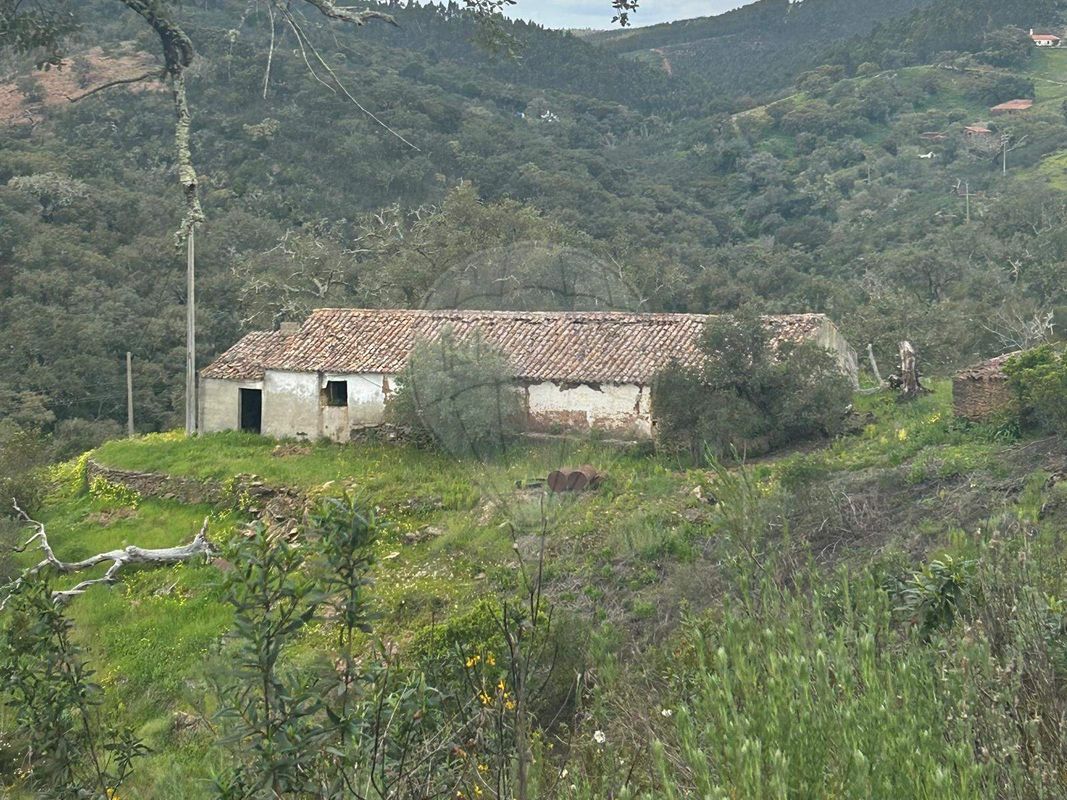 TODO