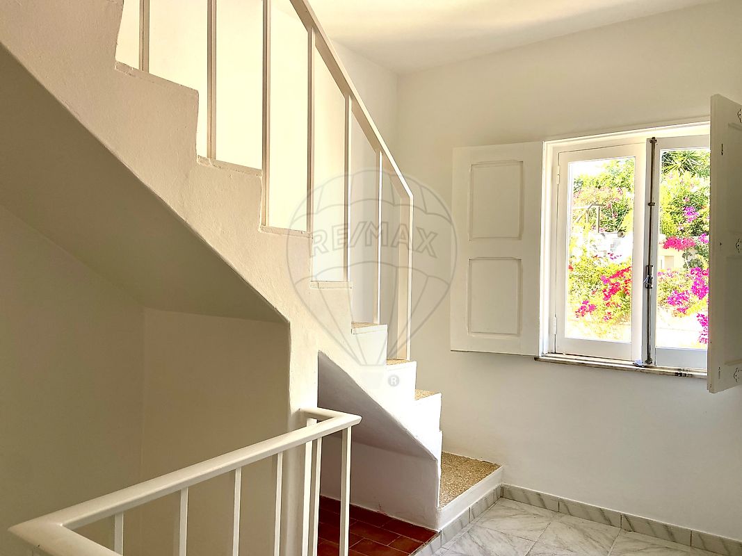 listing 124471013-395 picture-0