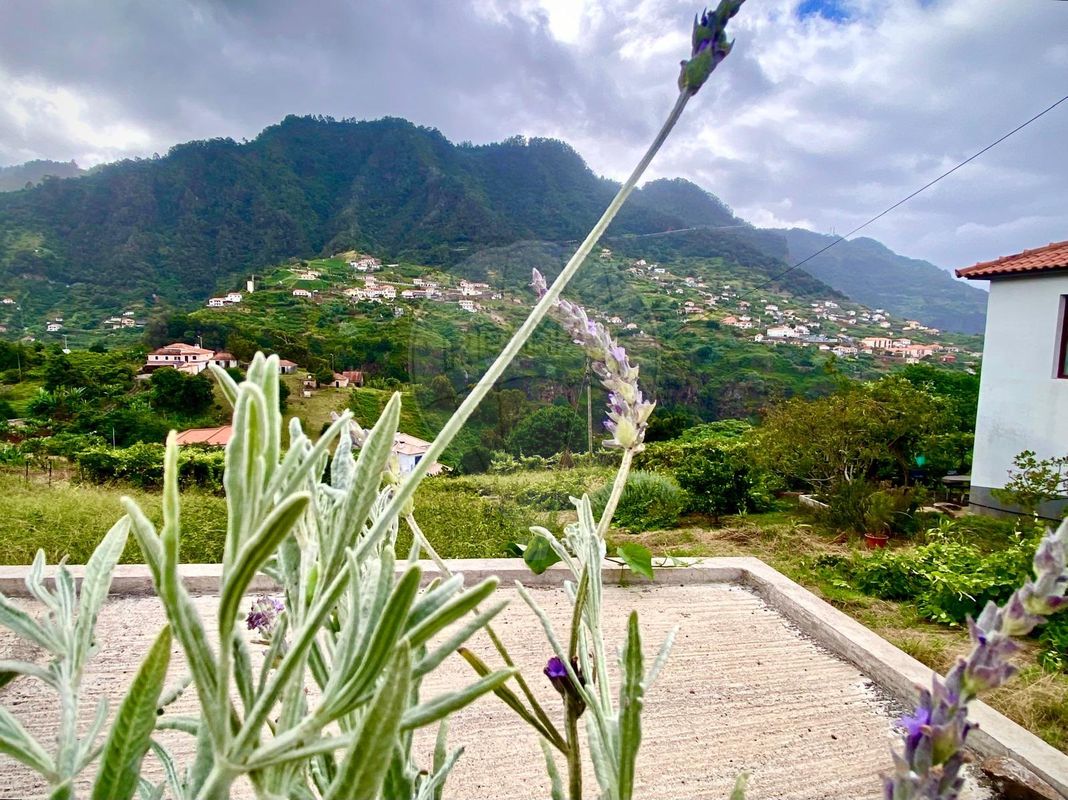Terreno  para venda