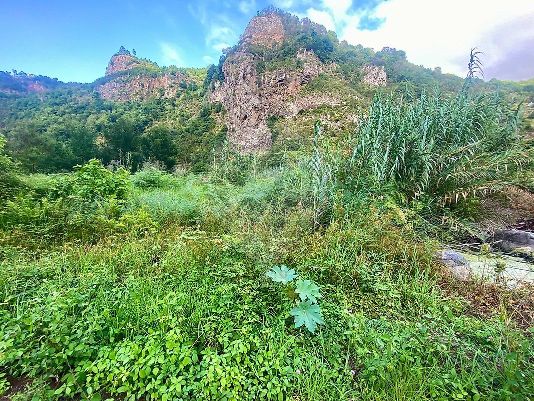 Terreno  para venda