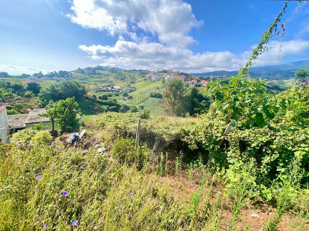 Terreno  para venda
