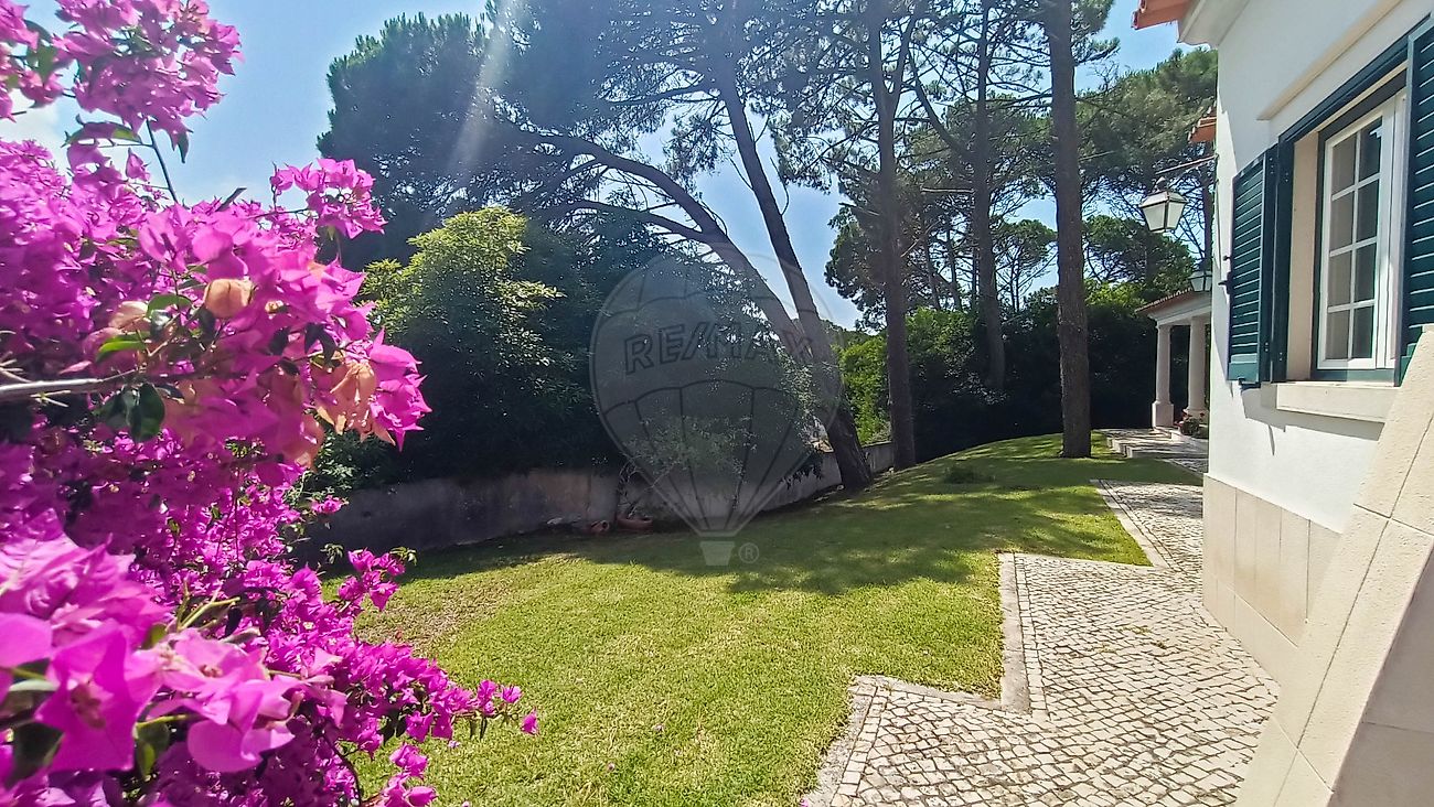 listing-picture-0