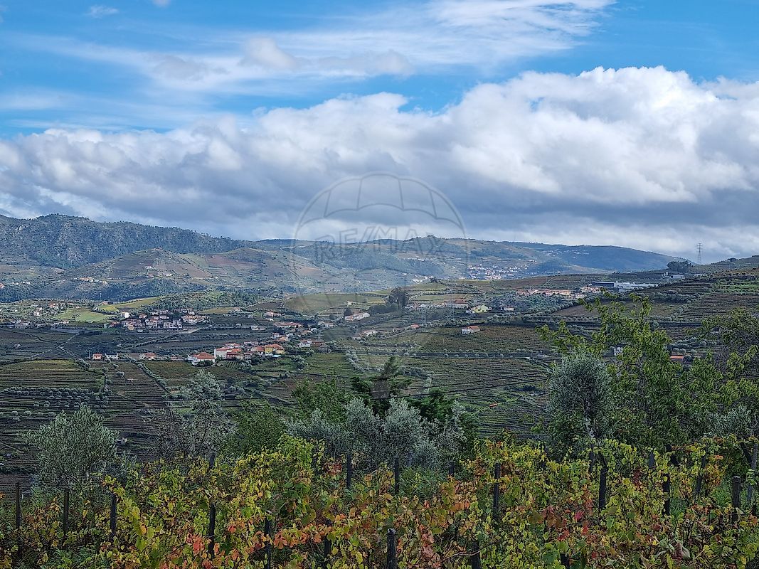 Moradia T3 à venda em Samodães, Lamego — foto 21