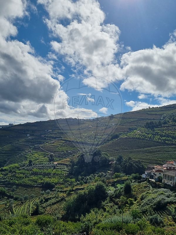 Moradia T3 à venda em Samodães, Lamego — foto 36