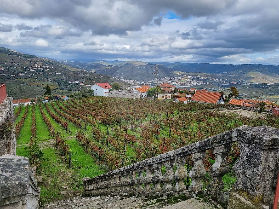 Moradia T3 à venda em Samodães, Lamego — foto 31