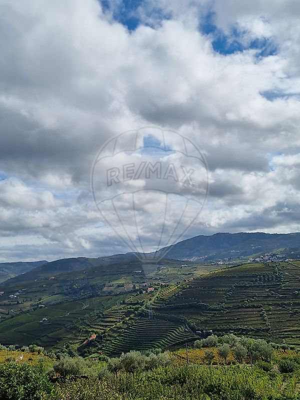 Moradia T3 à venda em Samodães, Lamego — foto 35