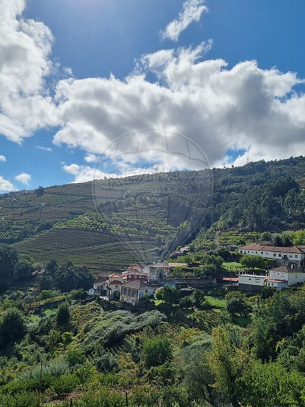 Moradia T3 à venda em Samodães, Lamego — foto 38
