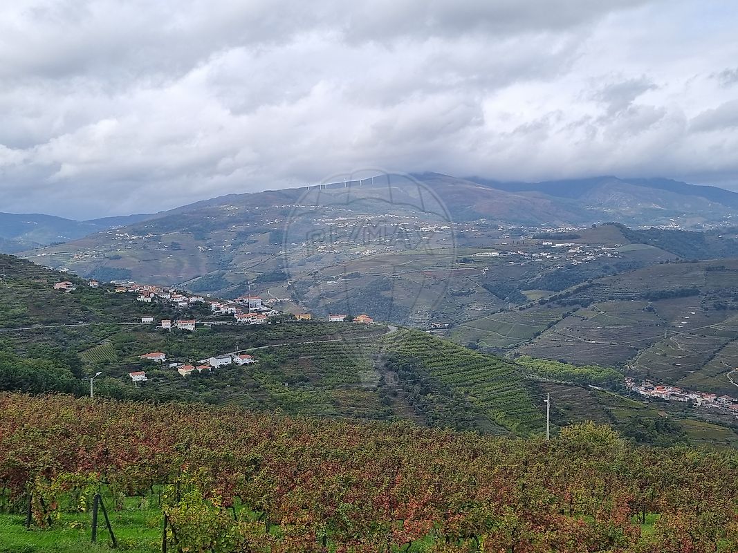 Moradia T3 à venda em Samodães, Lamego — foto 30