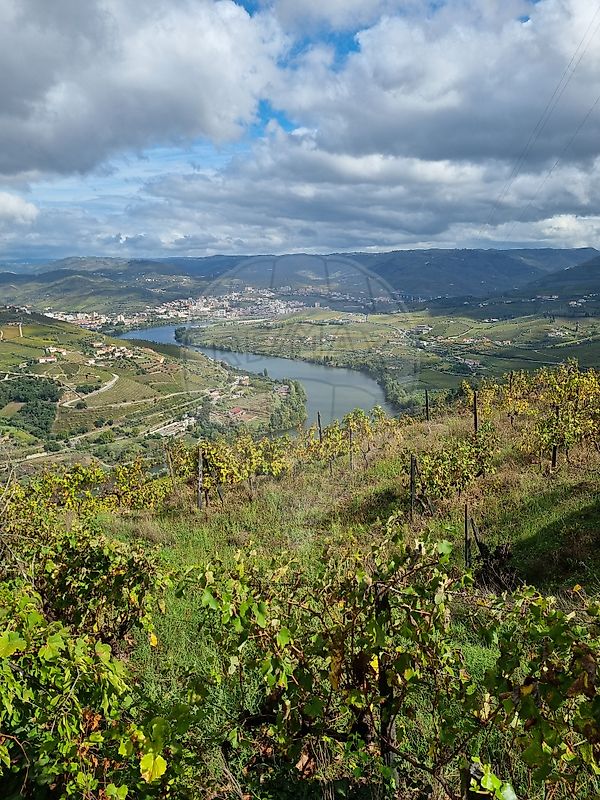 Moradia T3 à venda em Samodães, Lamego — foto 34