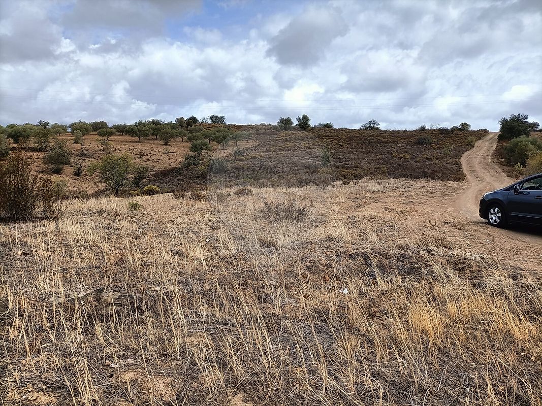 Terreno  à venda em Alcoutim