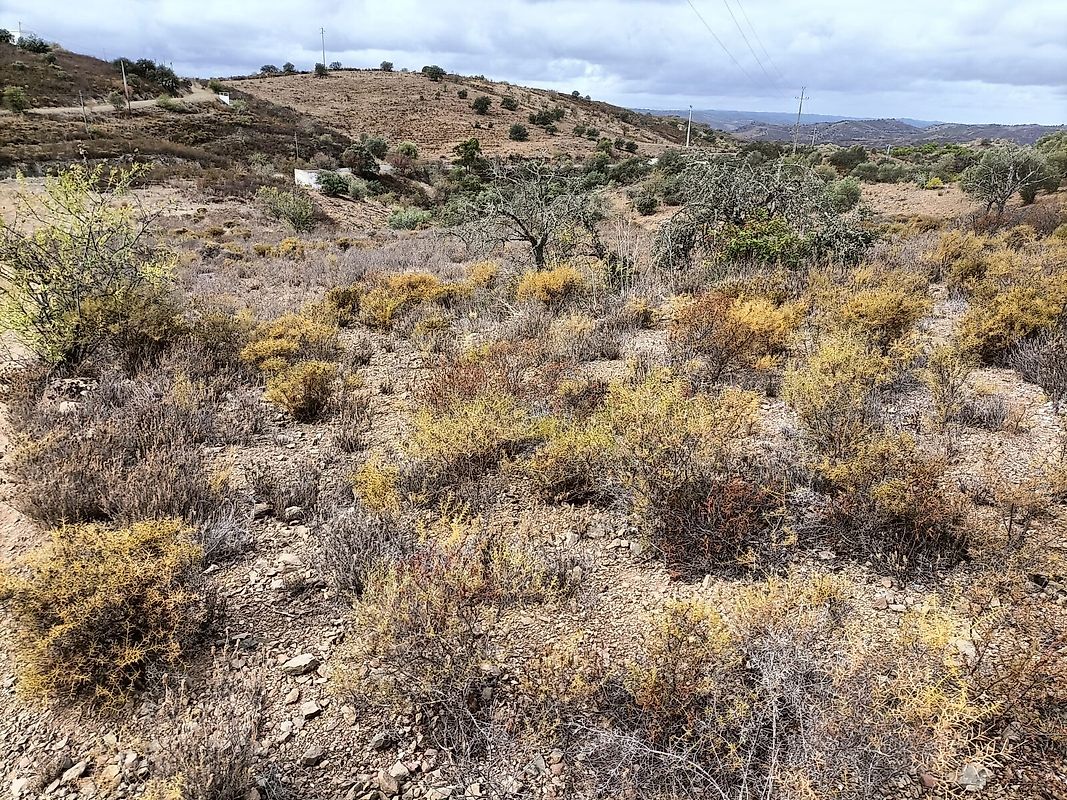 Terreno  à venda em Alcoutim