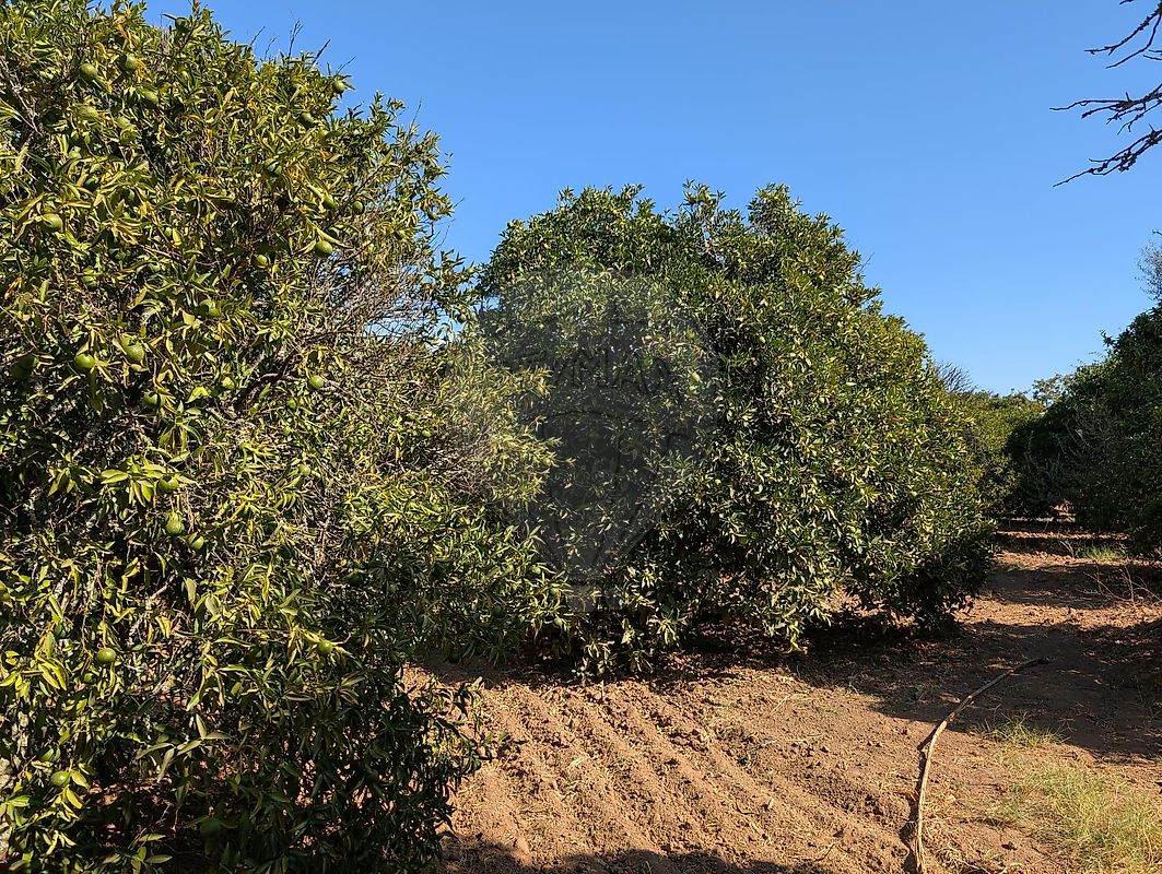 Terreno à venda em Castro Marim