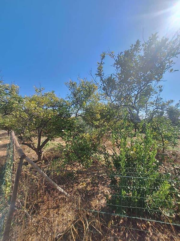 Moradia T3 à venda em Luz de Tavira e Santo Estêvão, Tavira — foto 13