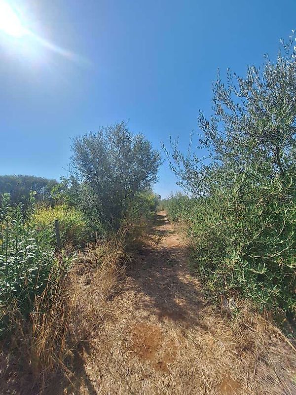 Moradia T3 à venda em Luz de Tavira e Santo Estêvão, Tavira — foto 15