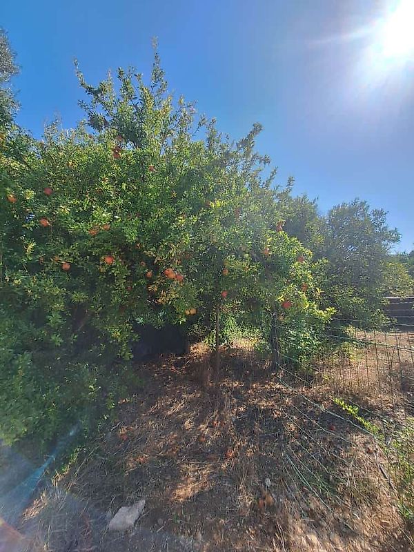Moradia T3 à venda em Luz de Tavira e Santo Estêvão, Tavira — foto 11
