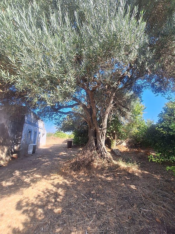 Moradia T3 à venda em Tavira