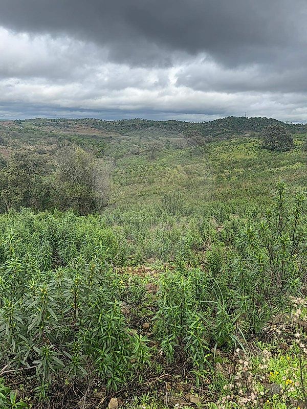 Terreno à venda em Castro Marim
