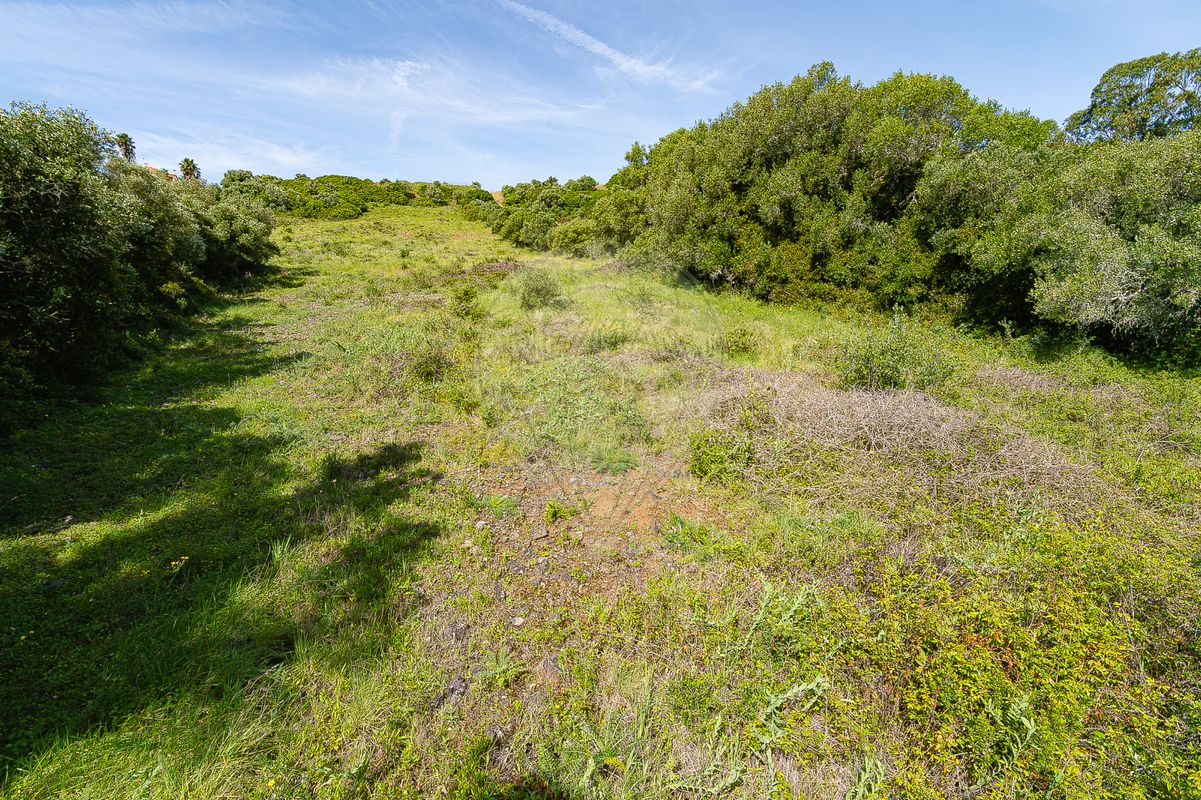 listing 124511096-55 picture-0