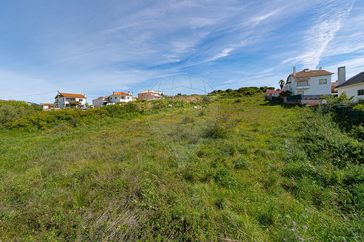 listing 124511096-55 picture-0
