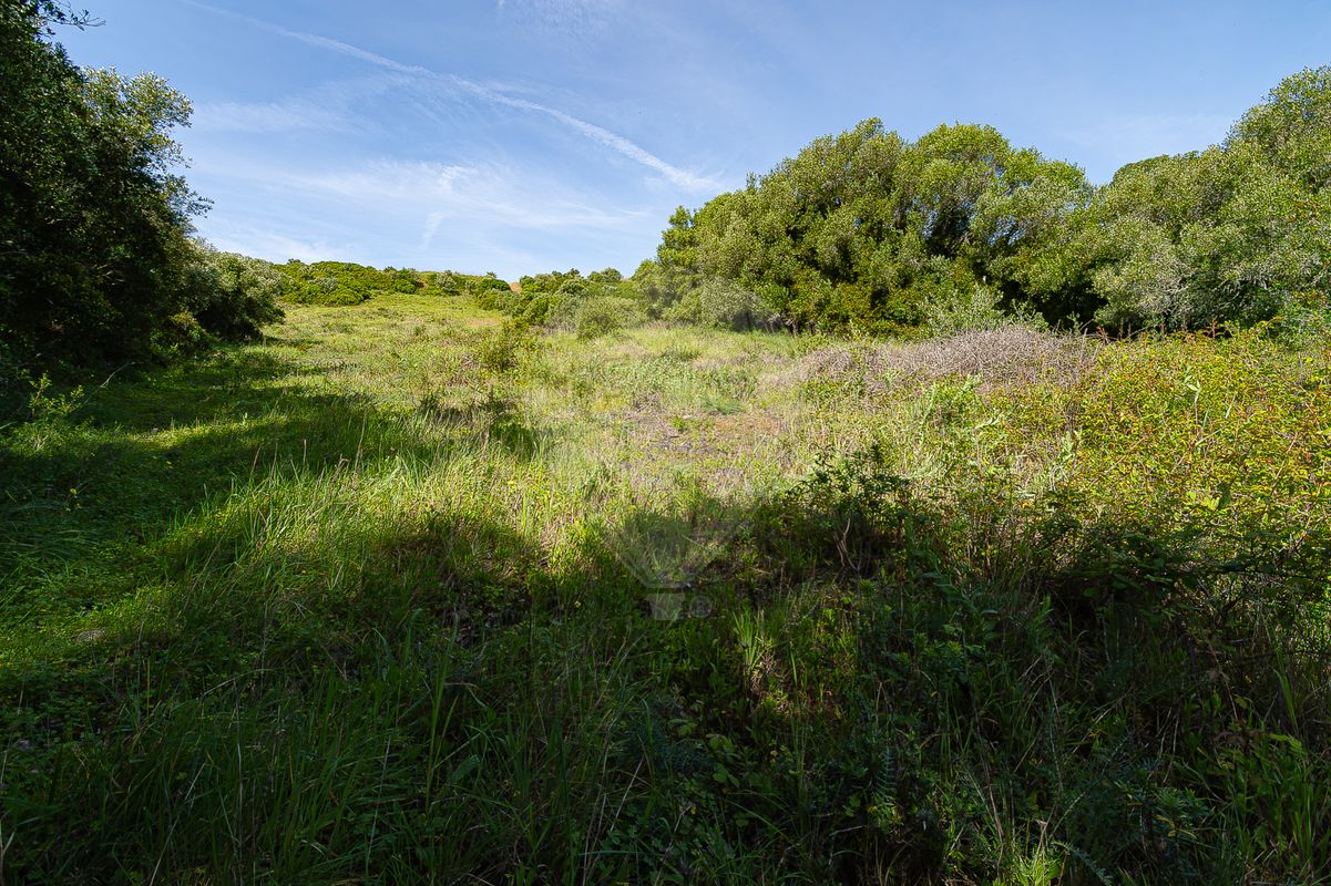 listing 124511096-55 picture-0