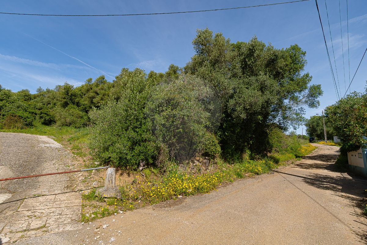 listing 124511096-55 picture-0