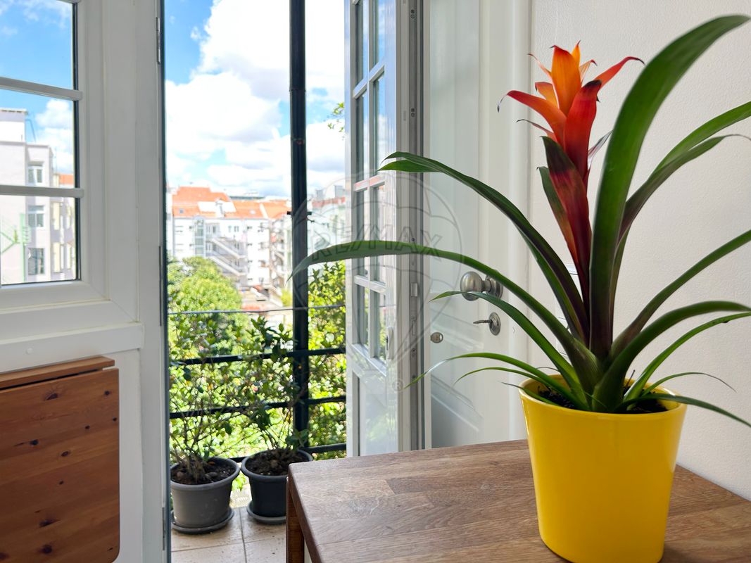 listing-picture-0