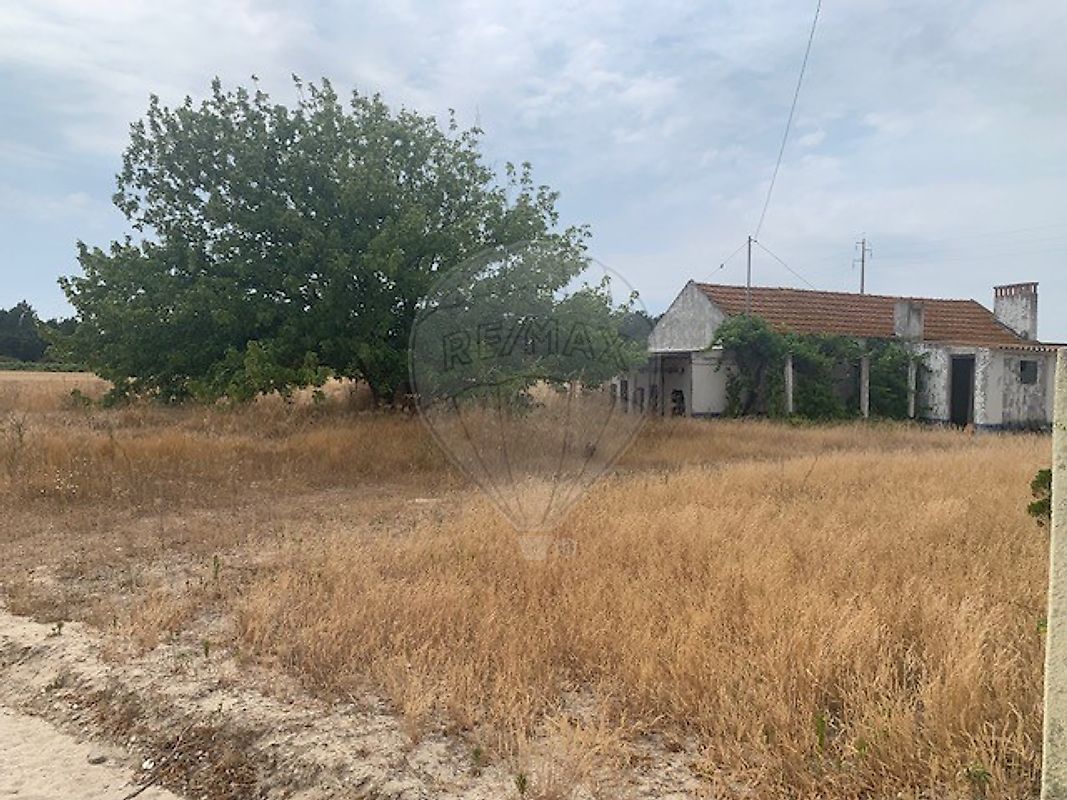 Terreno - Poceirão e Marateca, Palmela, Setúbal
