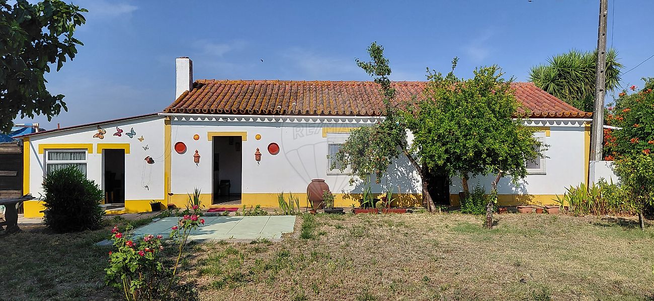 Quinta - Ferreira do Alentejo e Canhestros, Ferreira do Alentejo, Beja