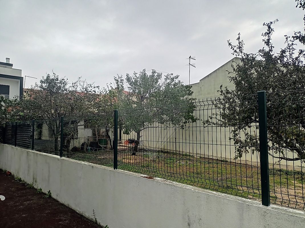 124521035-215