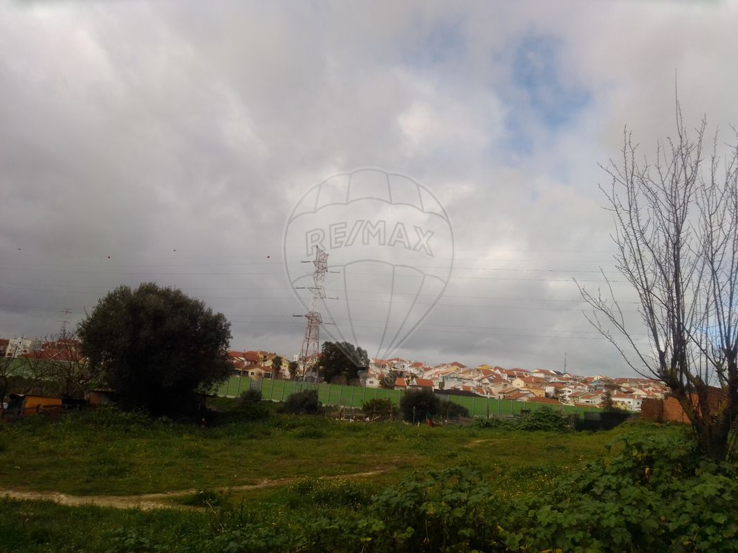 listing 124521035-235 picture-0