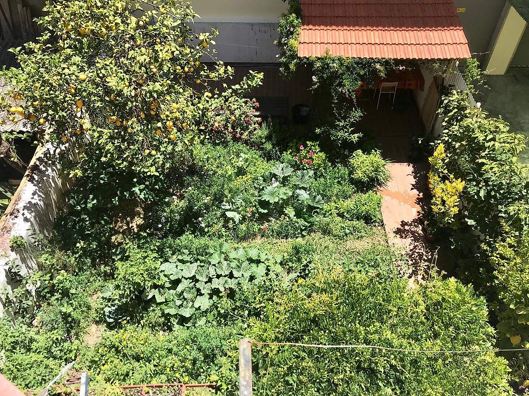 listing 124521157-11 picture-0