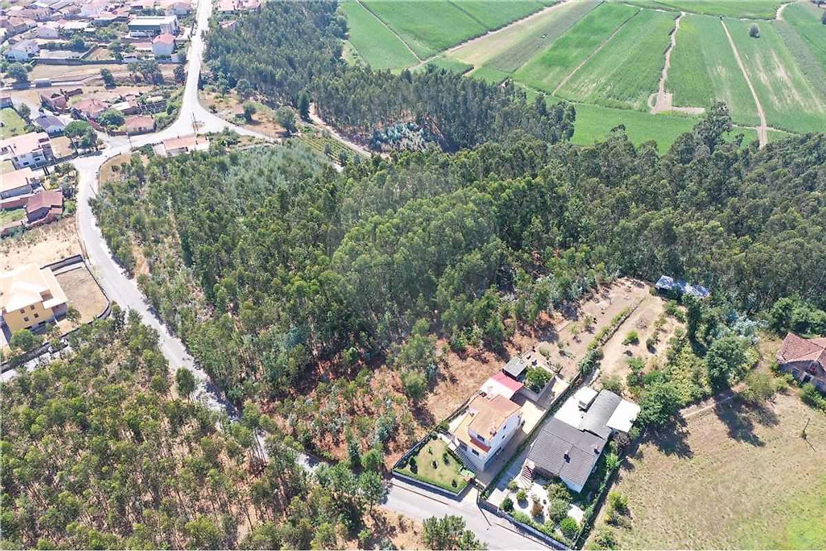 Terreno à venda em Águeda