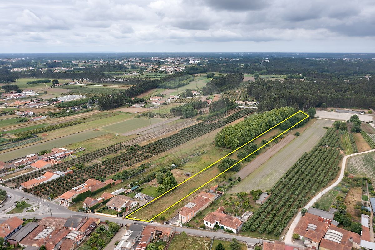 Terreno à venda em Oliveira do Bairro