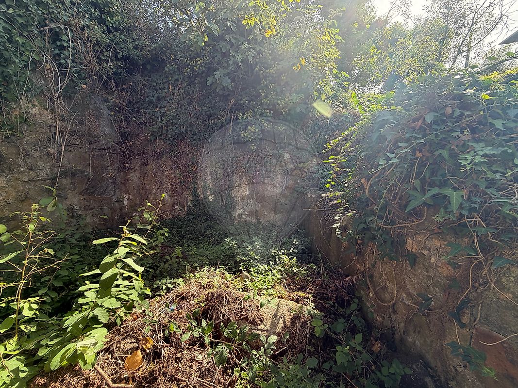Moradia T0 à venda em Cedrim e Paradela, Sever do Vouga — foto 20