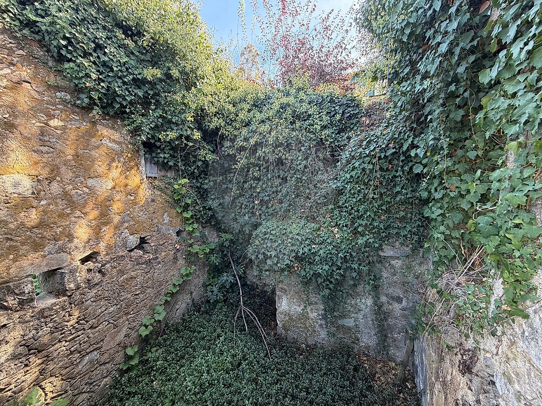Moradia T0 à venda em Cedrim e Paradela, Sever do Vouga — foto 17