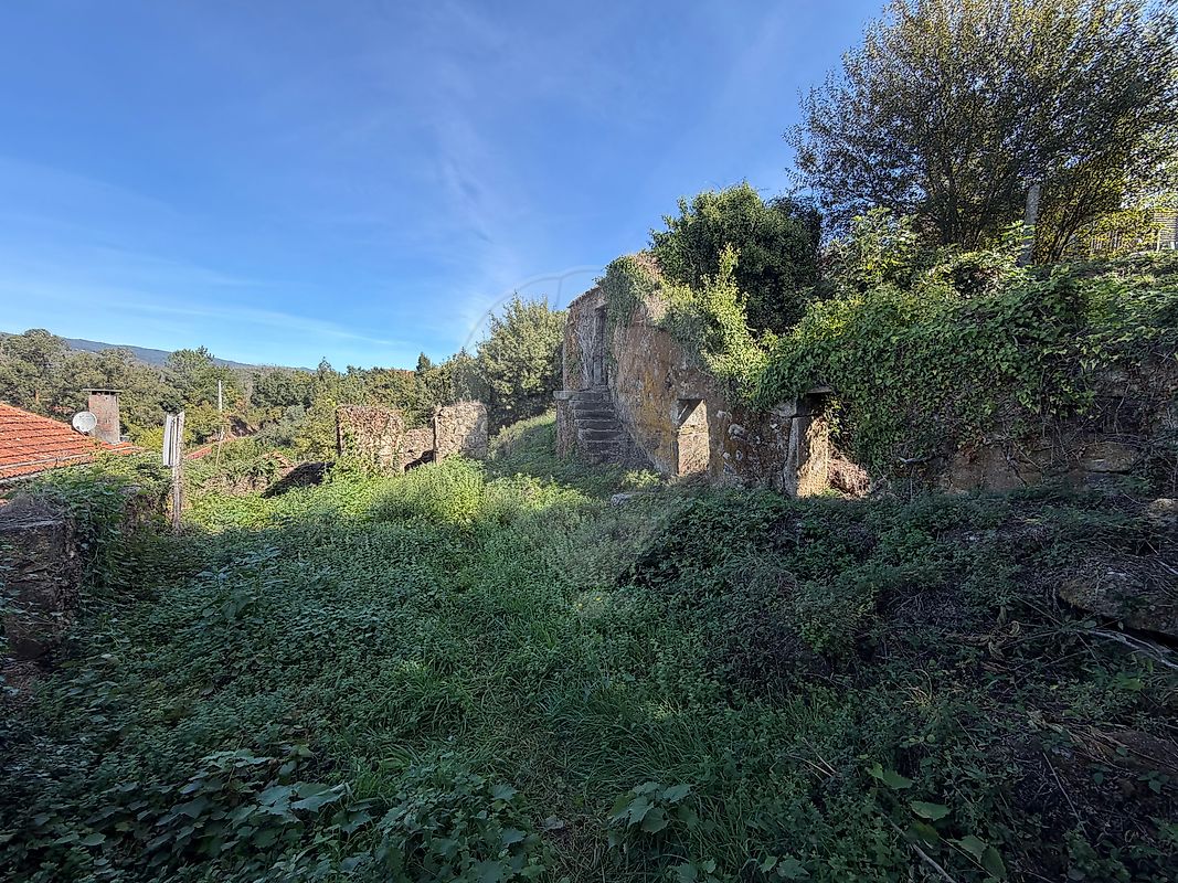 Moradia T0 à venda em Cedrim e Paradela, Sever do Vouga — foto 13