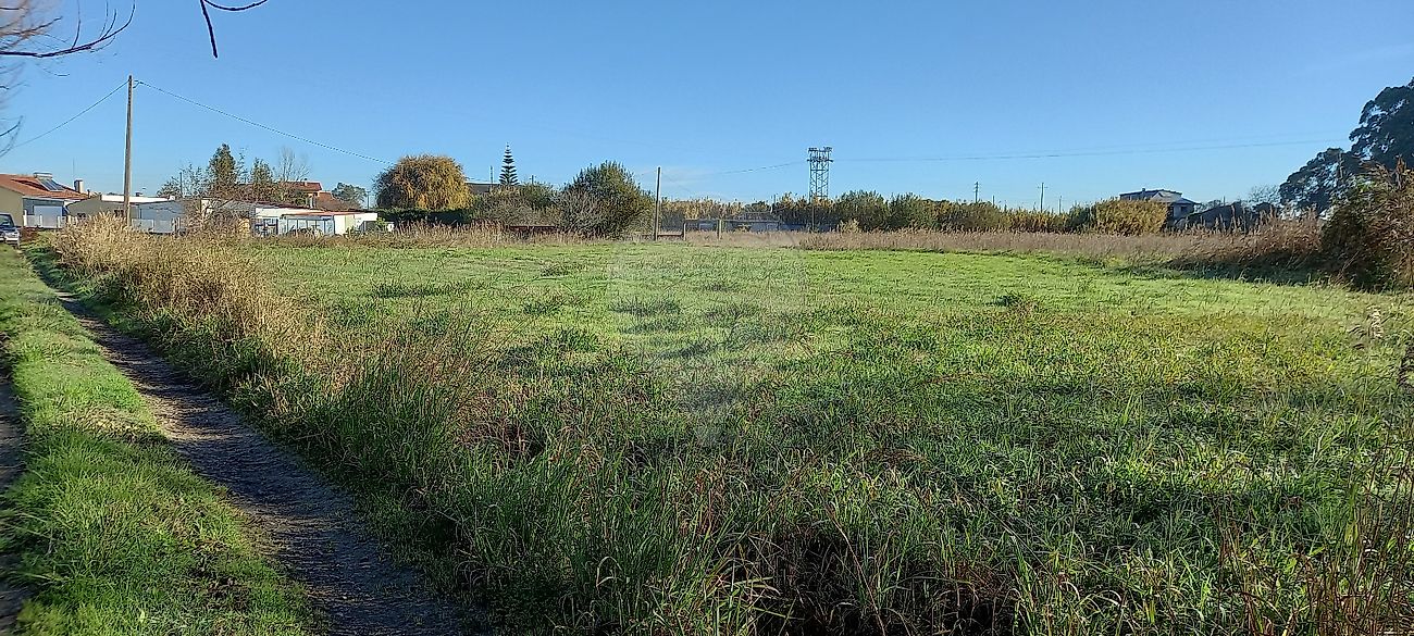 Land for sale in Ílhavo, Portugal — €330,000