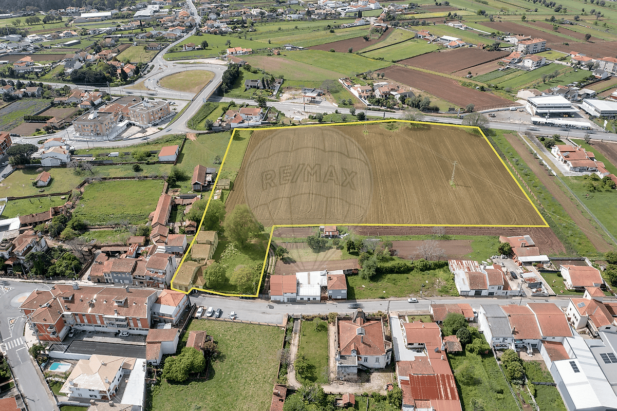 Terreno - Trofa, Segadães e Lamas do Vouga, Águeda, Aveiro