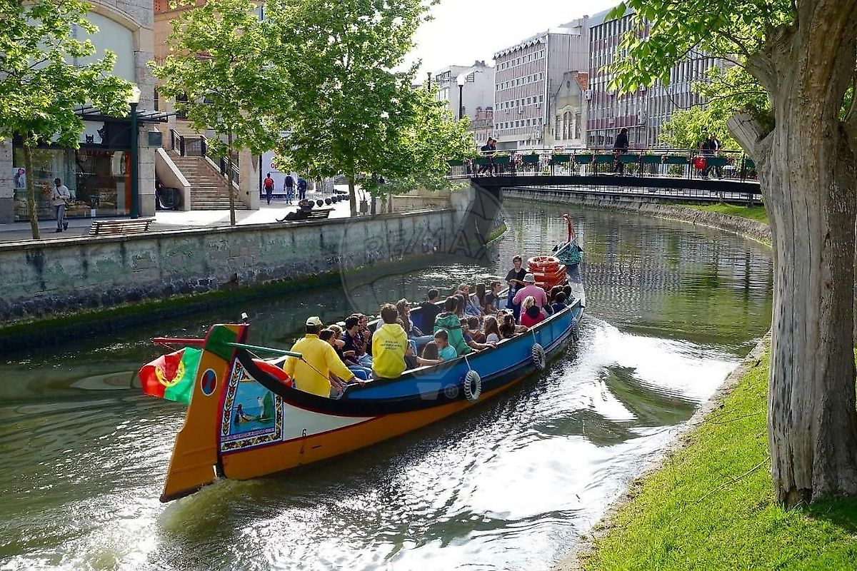 listing 124541029-427 picture-0