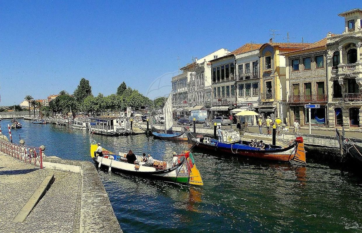 listing 124541029-427 picture-0