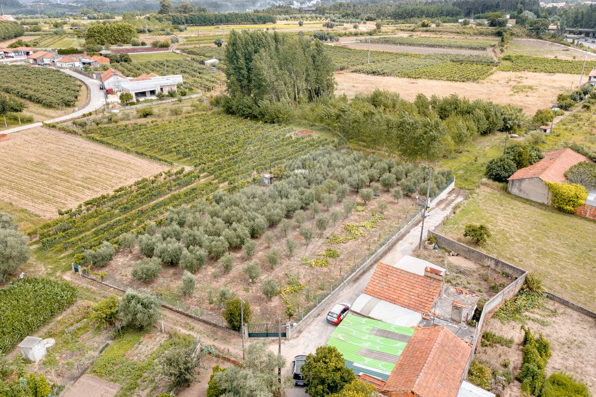 Terreno para venda