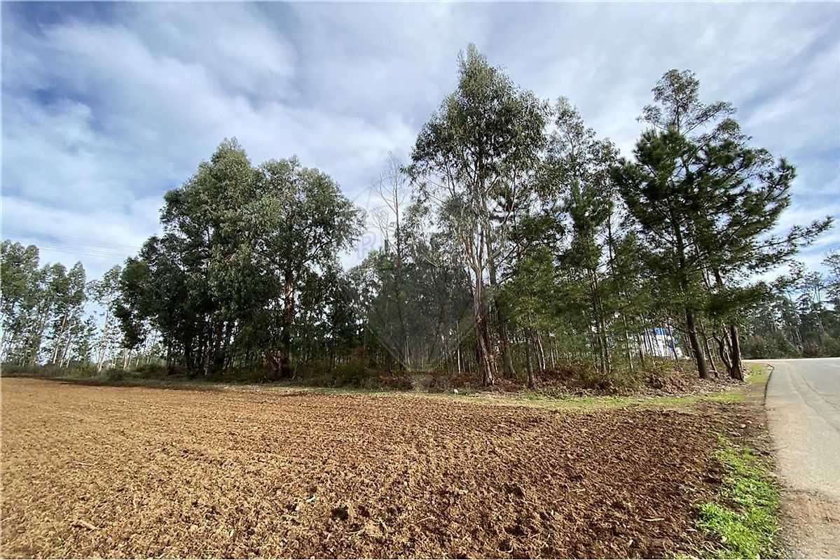Land for sale in Águeda, Portugal — €60,000