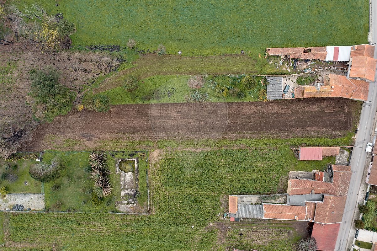 Terreno à venda em Albergaria-a-Velha